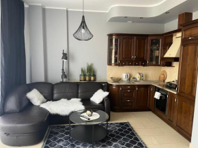 Apartament przy PARKU CHOPINA